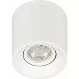 Поворотный настенно-потолочный светильник-спот ЭРА OL251 WH Б0054383