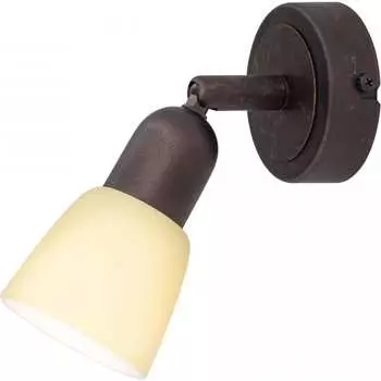 Поворотный спот Citilux Ронда CL506514