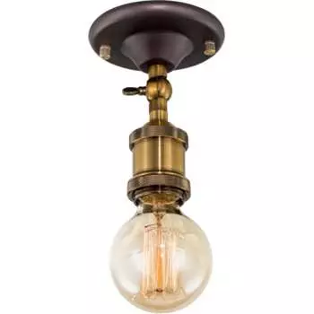 Поворотный светильник Citilux Эдисон CL450500