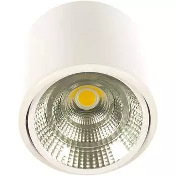 Поворотный светодиодный светильник FERON