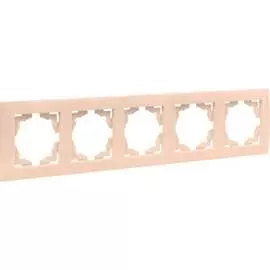 Пятиместная рамка EKF Валенсия PROxima EWM-G-305-20