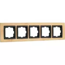 Пятиместная рамка MONO ELECTRIC