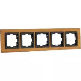 Пятиместная рамка MONO ELECTRIC