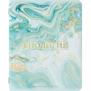Предметная тетрадь BRAUBERG
