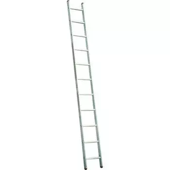 Приставная односекционная лестница Biber 98411 тов-079353