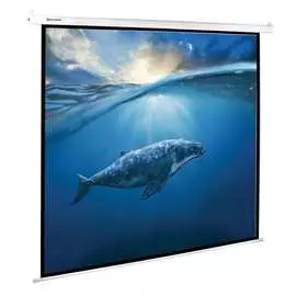 Проекционный экран BRAUBERG MOTO 236733