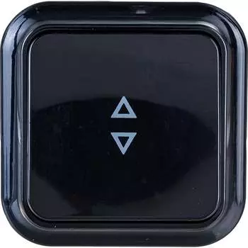 Проходной одноклавишный выключатель BYLECTRICA ПРАЛЕСКА А610-147 черный