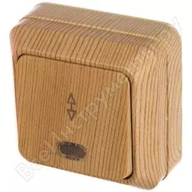 Переключатель TDM ELECTRIC Ладога SQ1801-0048