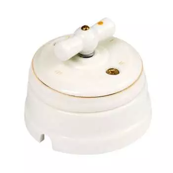 Проходной поворотный выключатель Мезонинъ GE70404-50