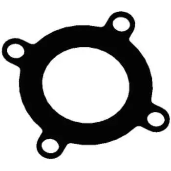 Прокладка для фланца RIIFO