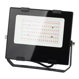 Прожектор ЭРА FITO Б0046368