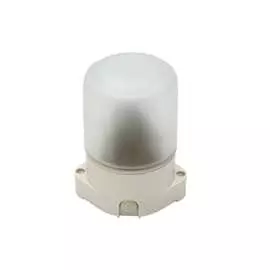 Прямой светильник для бани ЭРА НББ 0160001 Б0048030