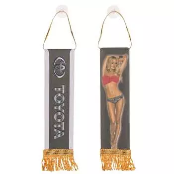 Прямоугольный вымпел SKYWAY