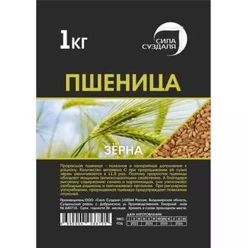 Пшеница Сила Суздаля