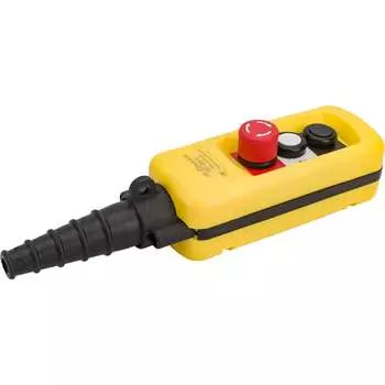 Пульт Briswik ПКТ-20Б-С XACA2713.S.BR