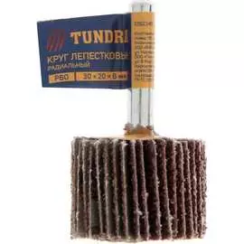 Радиальный лепестковый круг ТУНДРА 5162349