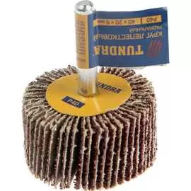 Радиальный лепестковый круг ТУНДРА