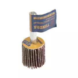 Радиальный лепестковый круг ТУНДРА 5162347