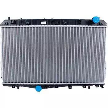 Радиатор охлаждения двигателя Delcoparts 19347566