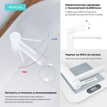 Раковина Wellsee