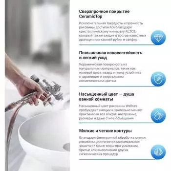 Раковина Wellsee