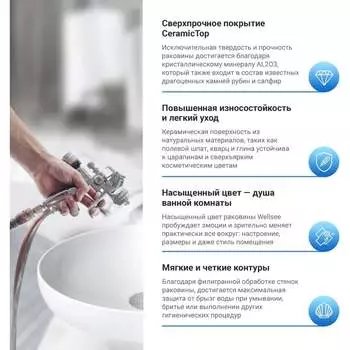 Раковина Wellsee