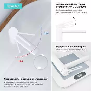 Раковина Wellsee