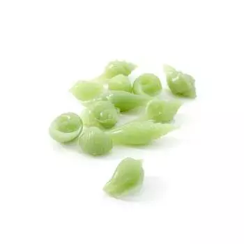 Ракушки ЧУДЕСНЫЙ САД