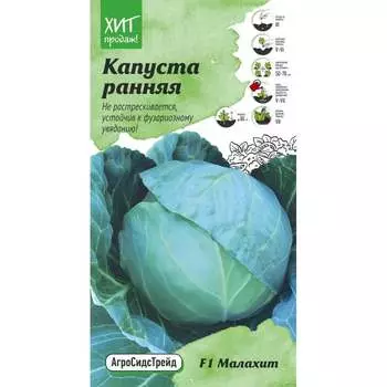 Ранняя белокочанная капуста капуста Агросидстрейд