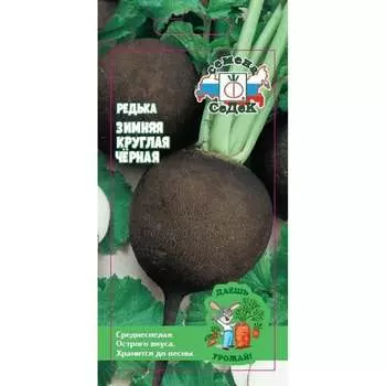 Редька СеДек