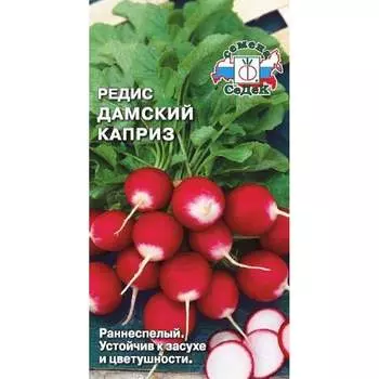 Редис СеДек Дамский Каприз раннеспелый, ОГ, округлый, малиново-красный с белым кончиком/белый, нежно-пикантный, 13721