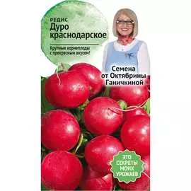 Редис семена ОКТЯБРИНА ГАНИЧКИНА