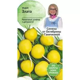 Редис семена ОКТЯБРИНА ГАНИЧКИНА Злата 119143