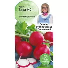 Редис семена ОКТЯБРИНА ГАНИЧКИНА Вера МС 119146