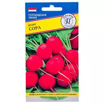 Редис семена Престиж-Семена Сора 00003344