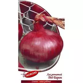 Репчатый лук семена Агрони