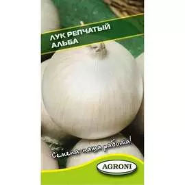 Репчатый лук семена Агрони