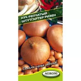 Репчатый лук семена Агрони