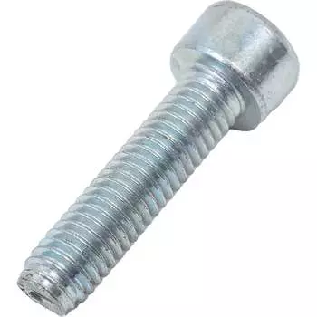 Резьбовыдавливающий винт ЦКИ DIN 7500E 68247