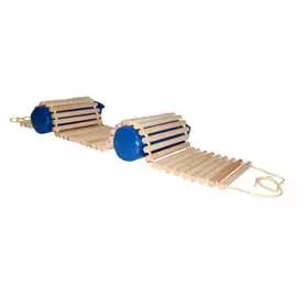 Роликовая дорожка Ранний старт