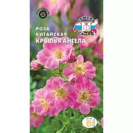 Роза семена СеДек