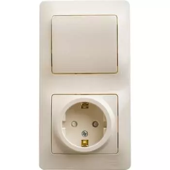 Розетка и выключатель Systeme Electric Glossa GSL000270