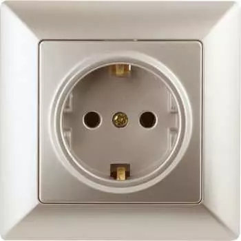Розетка Intro Solo 4-202-04 Б0053652