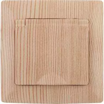 Розетка Intro Solo 4-203-11 Б0053665