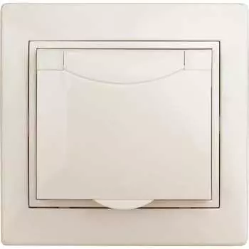 Розетка Intro Plano Б0053890