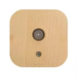 Розетка Legrand 782269