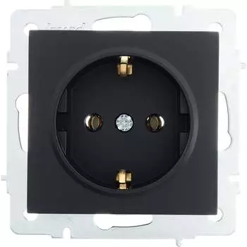 Розетка Lezard VESNA 742-4288-122B