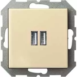 Розетка LIREGUS Эпсилон IUK-2-01 E/S 28-0712