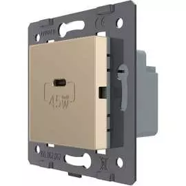 Розетка LIVOLO VL-FCUC-2AP