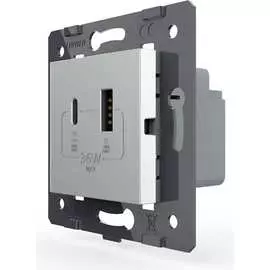 Розетка LIVOLO